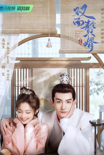 双面赘婿第2季第12集