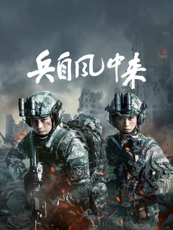 兵自风中来(全集)