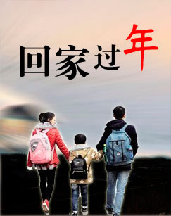 回家过年全集(大结局)