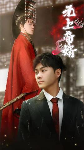 无上帝婿全集(大结局)