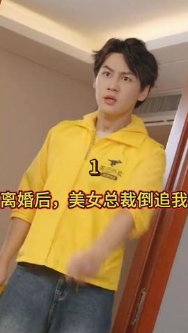 离婚后，美女总裁倒追我全集(大结局)