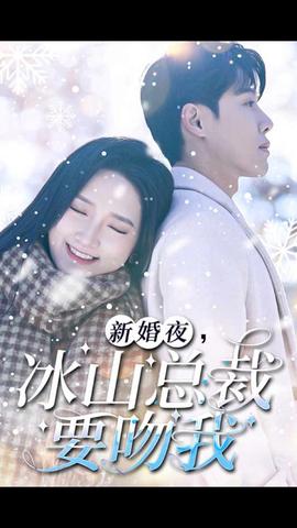 新婚夜，冰山总裁要吻我全集