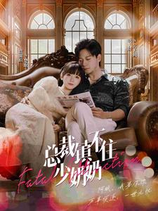 总裁镇不住少奶奶全集(大结局)