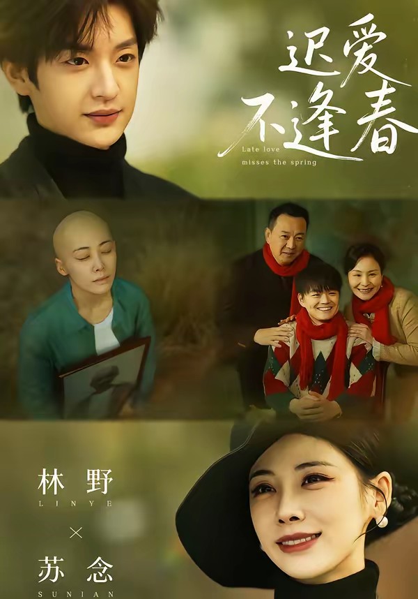 迟爱不逢春(全集)